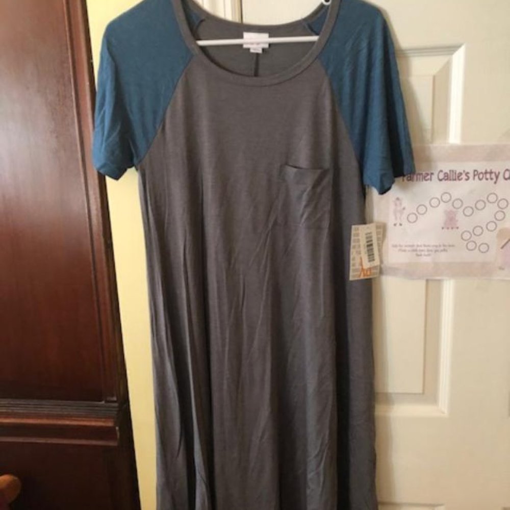 LuLaRoe Carly XS